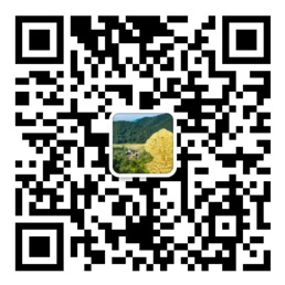 压大小单双平台赚钱软件